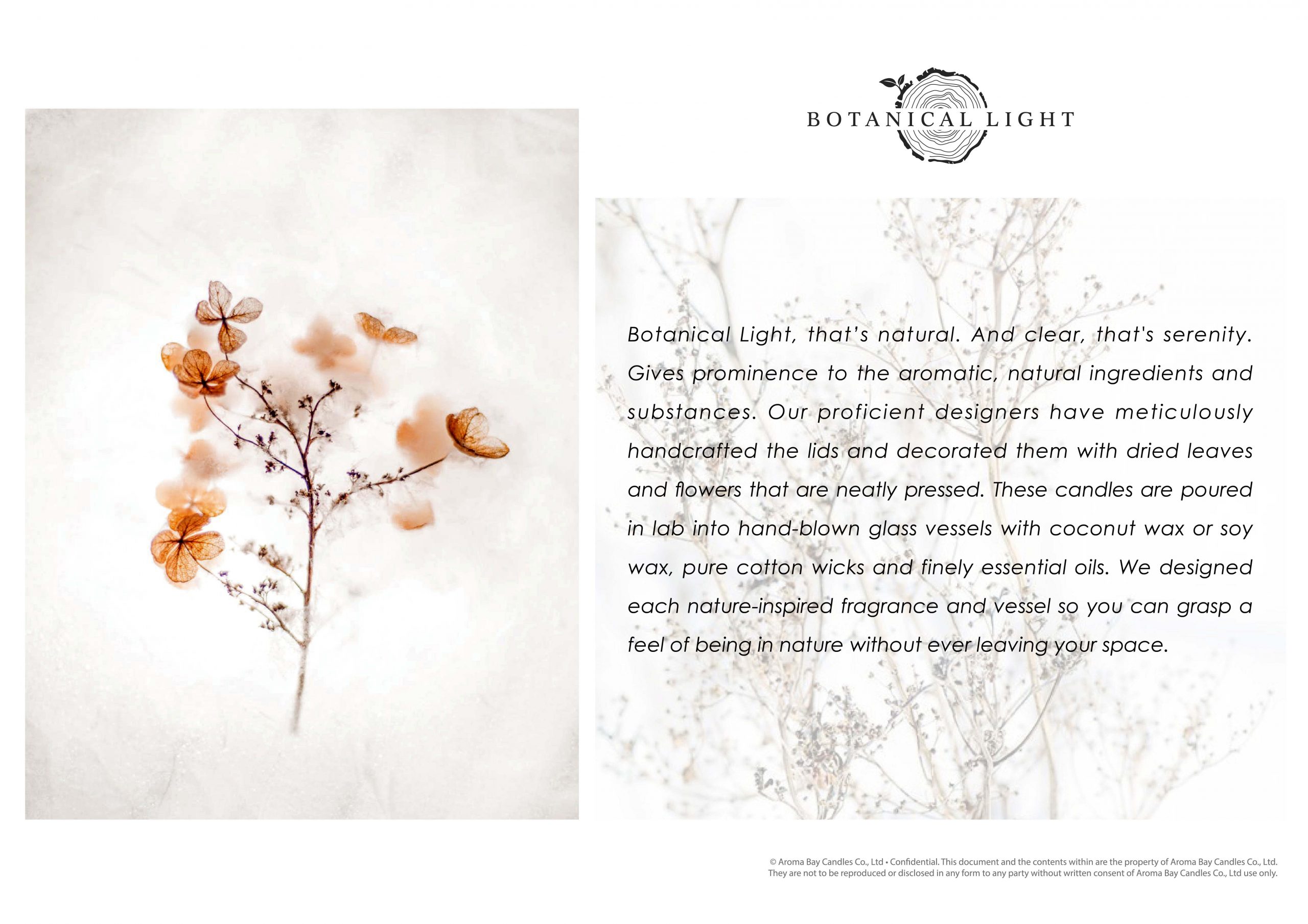 Botanical Light S